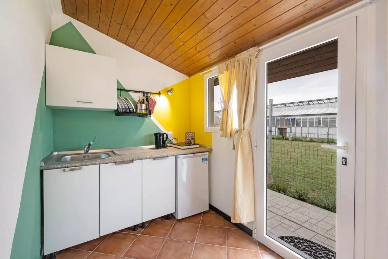Casa Sanfe Daire Albenga Dış mekan fotoğraf